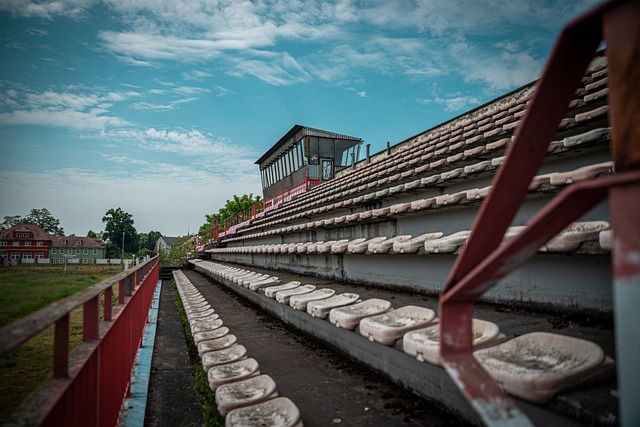 这场与沙特 这场与沙特