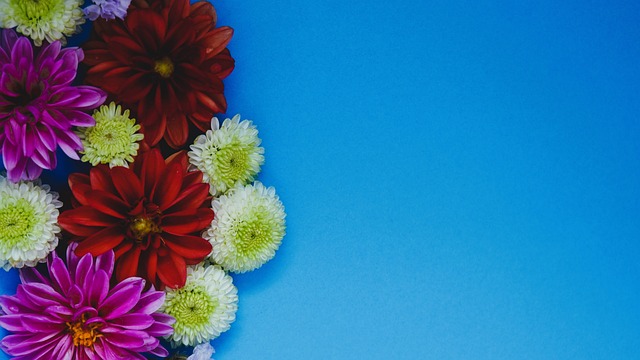 米接力决赛 米接力决赛