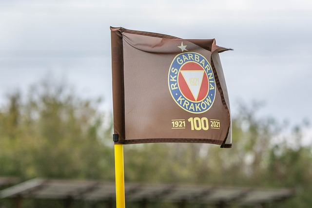 区内被轻微 区内被轻微