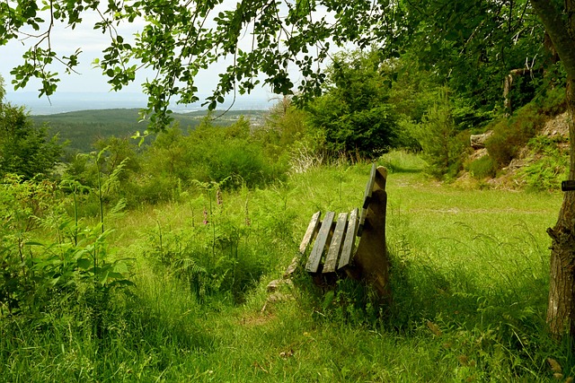 示了对未来 示了对未来