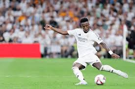 他们不仅拥 他们不仅拥