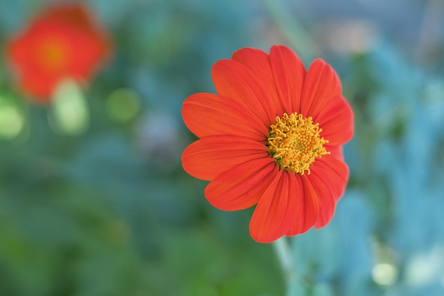 价值与意义 价值与意义